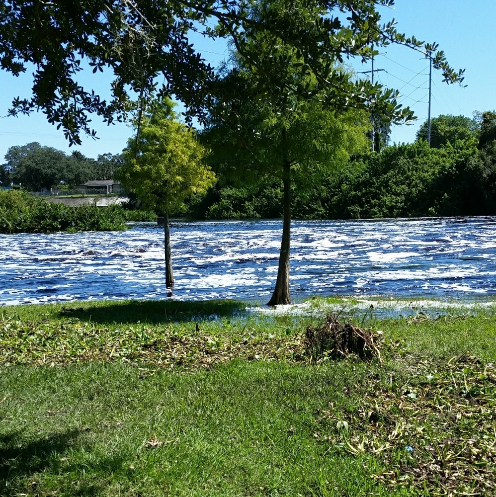 Meet your Posher, Kat